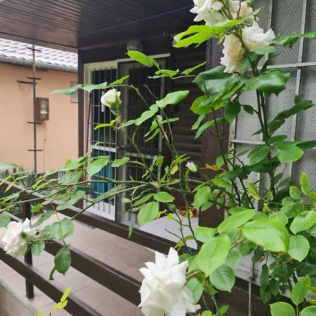 Nebel Vendeghaz Apartament *