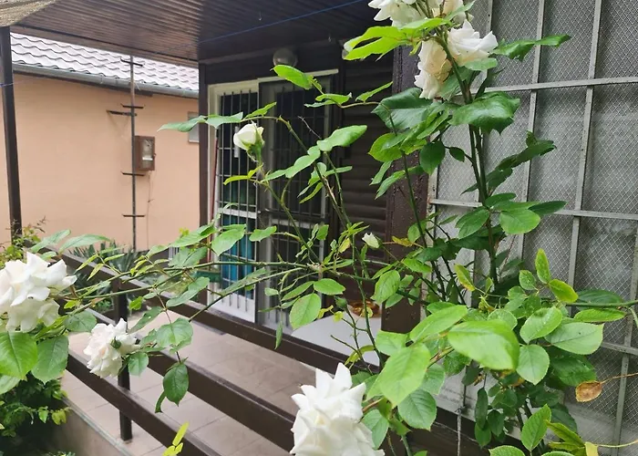 Nebel Vendeghaz Apartament *